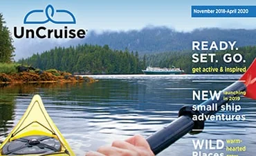 Cruise Brand Book
